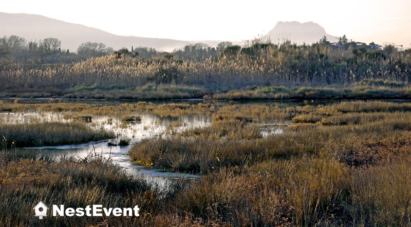 Hotel Mercure Thalassa Port Frejus location salle de séminaire